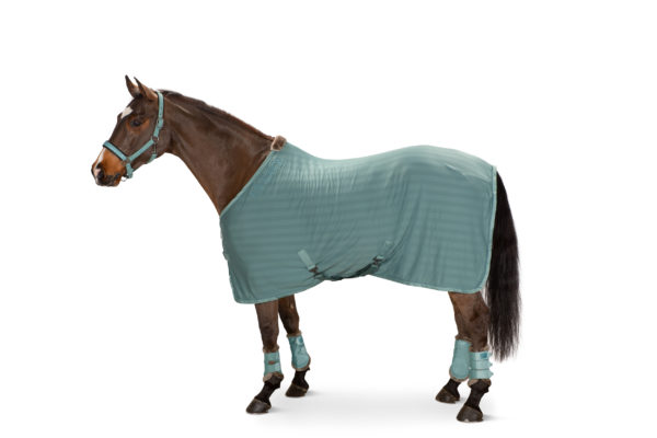 Eskadron Cooler Fly Classic Sports