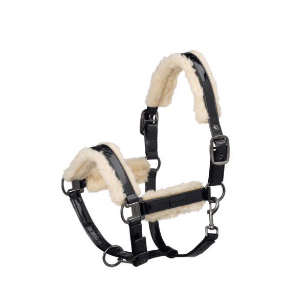 Eskadron licol verni Evo-Wool