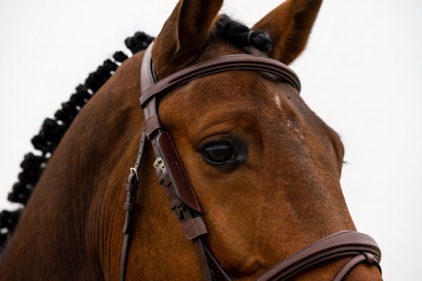 Les œillères blinkers TRUST en cuir procurent calme et concentration à votre cheval. Faciles à attacher et approuvées par la FEI pour les compétitions.