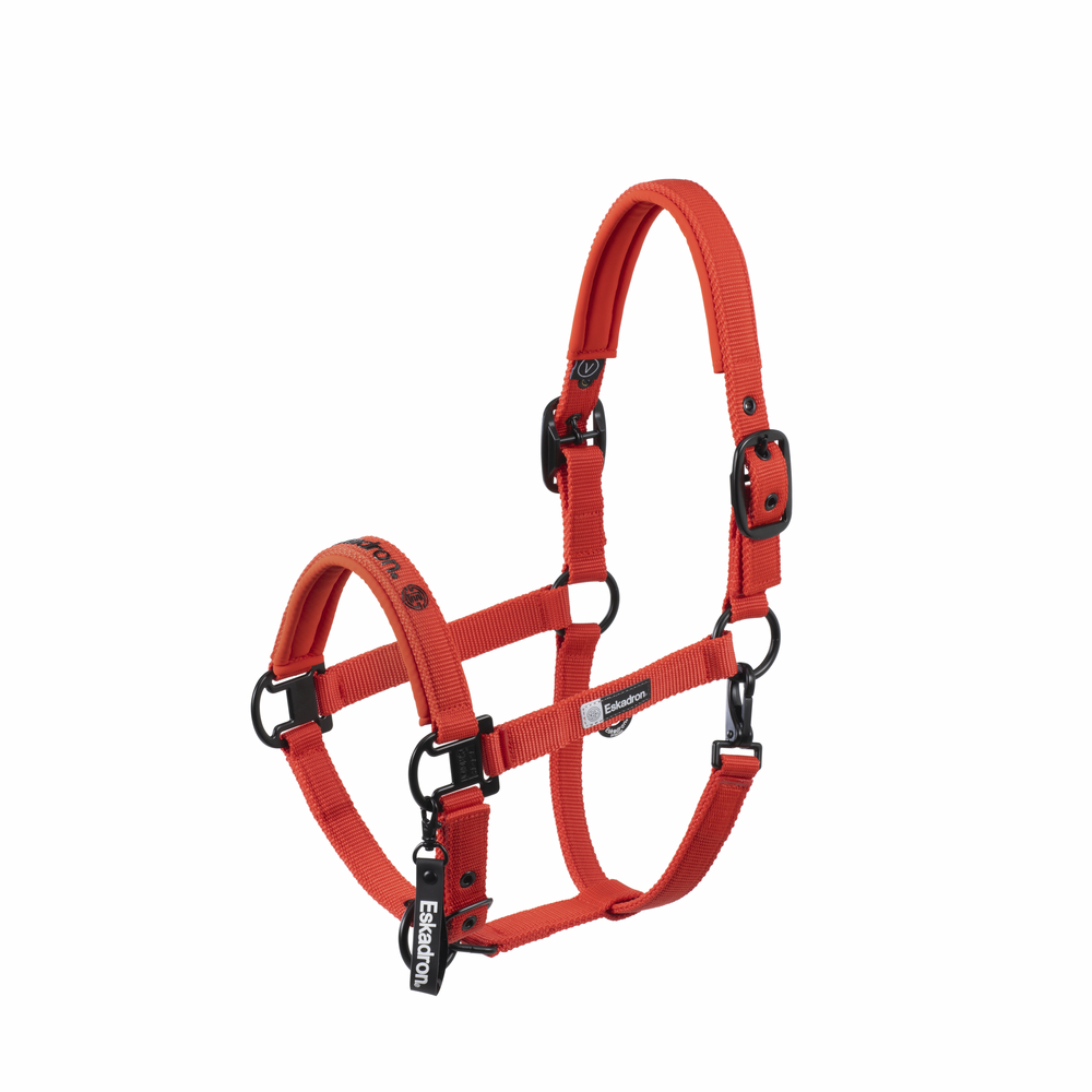 Eskadron Dynamic 25 licol